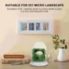 Dessert Artificial Dessert Faux Flower Pots Protector Cover Plastic Cloche Dessert Artificial Dessert Faux Flower Pots 2