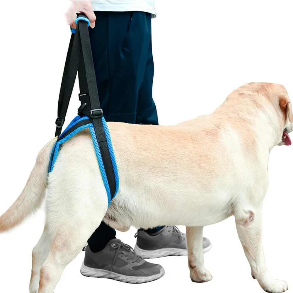 

Dog Lift Harness Dog Hind Legs Auxiliary Belt For Recovery Disability Leg Brace Hind Leg Help Walking Harness For Small Large D