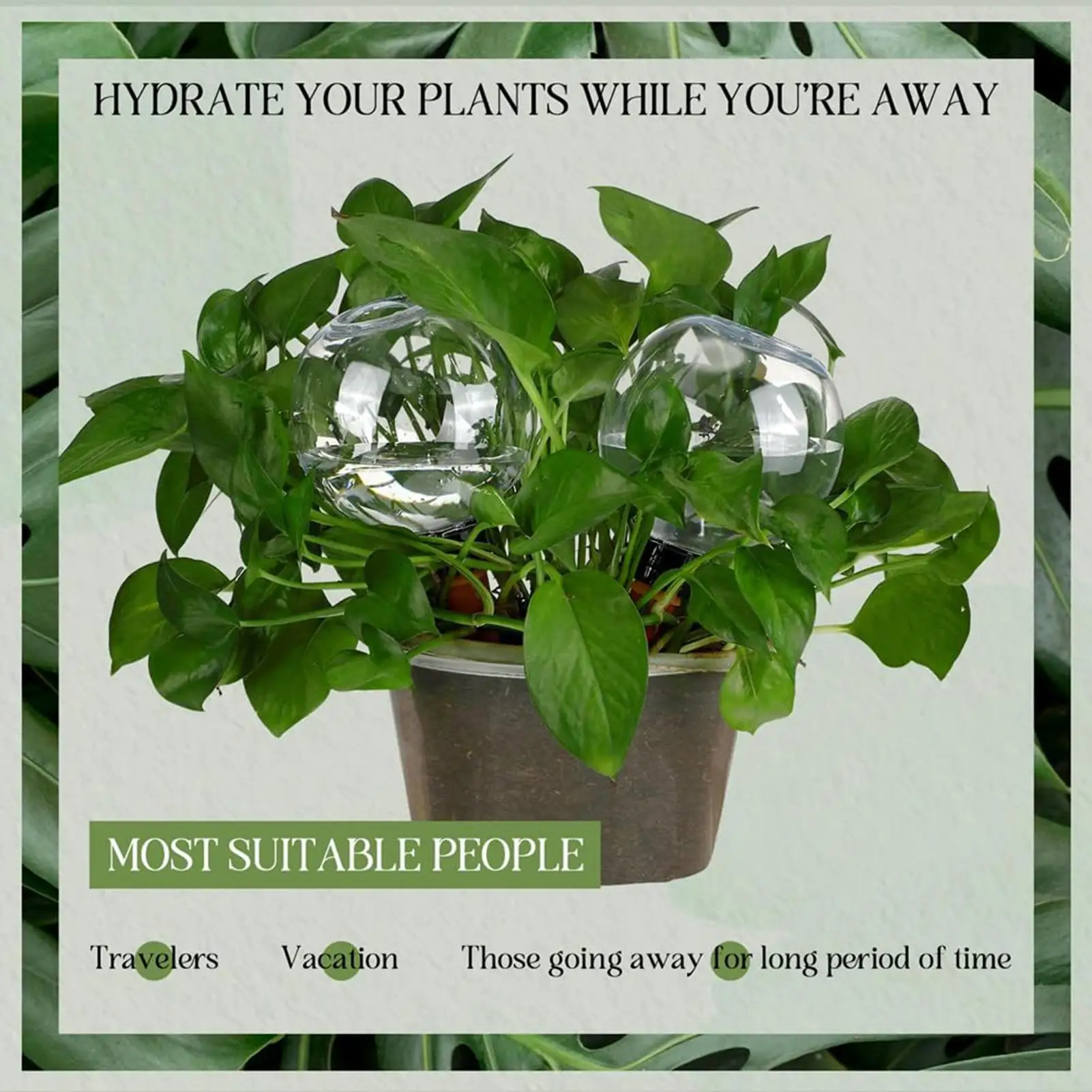 Automatic 500ML Plant Watering Globes