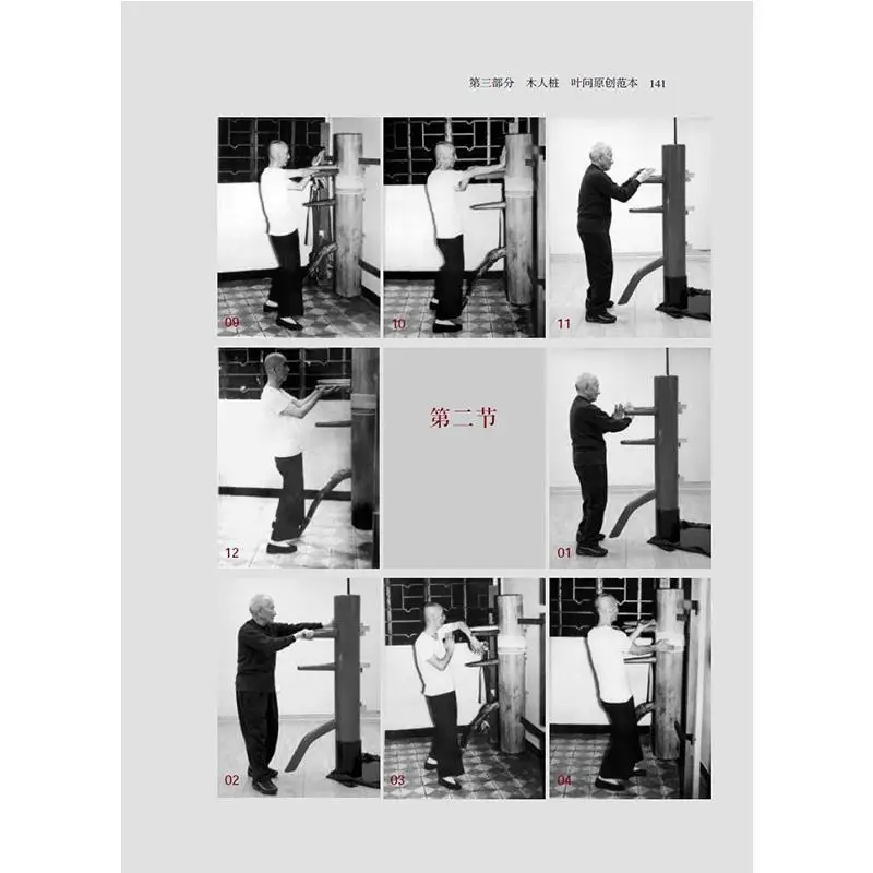 Рисунок 3 - Книга китайского кунг-фу