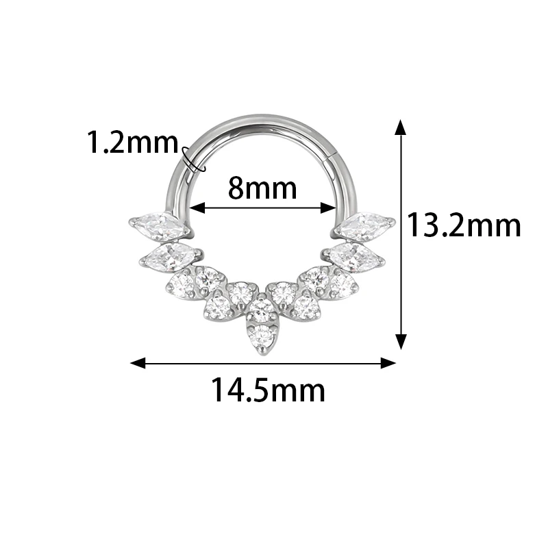 ASTM F136 Titanium EAR PIERC Nose Ring Teeth Tip CZ Ring Hoop Nose Rings Hinged Clicker Earring Ring factory Body Piercing