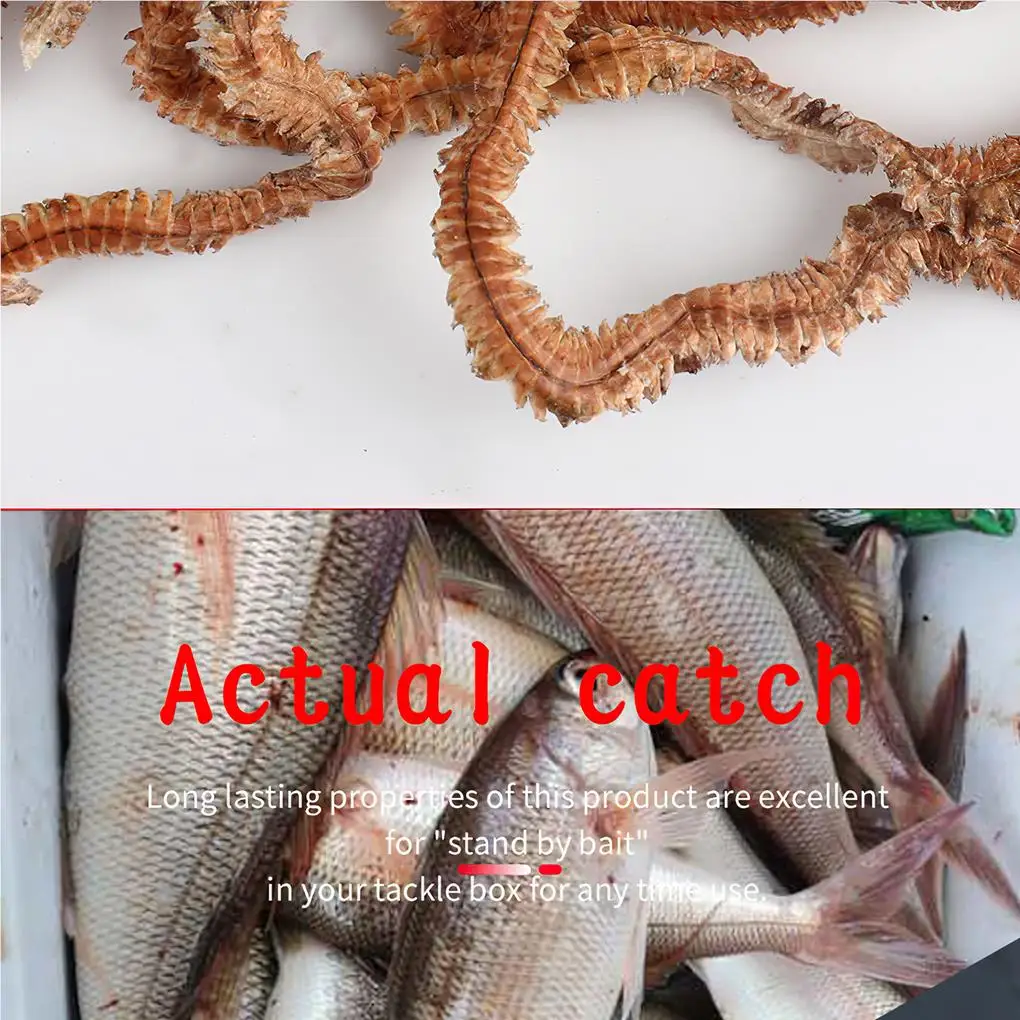 Description Picture 6 of item1 Bag 10g Dry Sandworm Fishing Lure Natural Dried Worms Outdoor Recreational Angling Tournament Portable Seductive Food