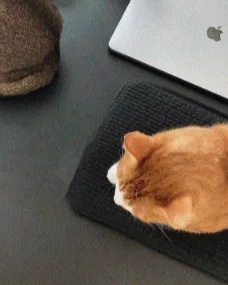 portátil tablet caso de armazenamento para macbook
