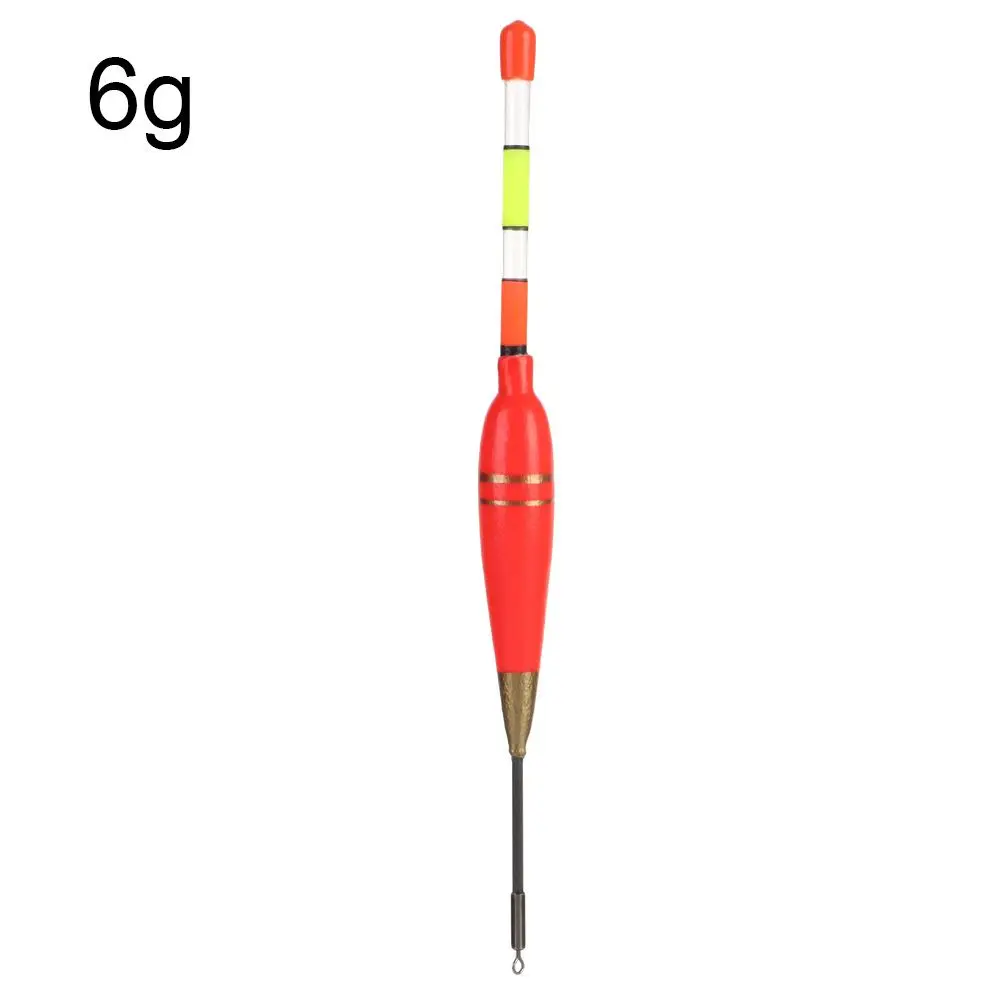6g