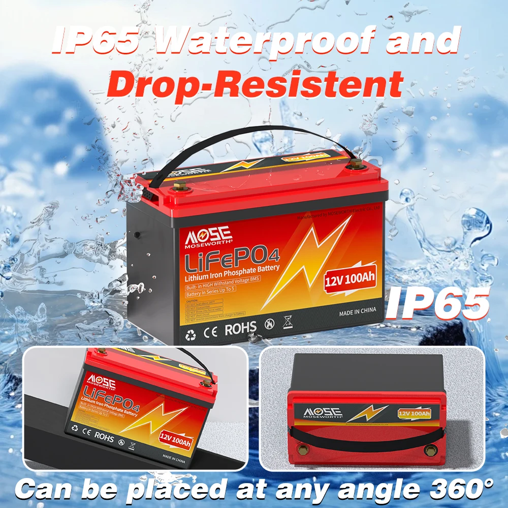 12V LiFePO4 Lithium Iron Phosphate Battery Pack 5