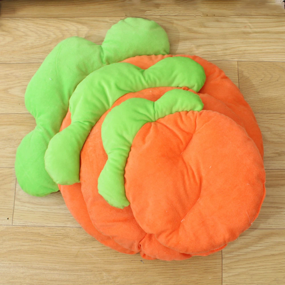 Carrot Pet Mat 6