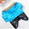 Winter Pet Dog Clothes Thicken Warm Jacket For Small Large Dogs Waterproof Puppy Pet Coat Chihuahua Pug French Bulldog Clothing 3