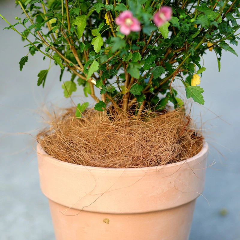 Coconut Husk Fiber Orchids Insect Proof Pet Bedding Protect Plants Keep Soil Temperature