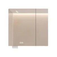 Modern Wall-mounted Mirror Cabinet Stainless Steel Lighted & Anti-fog Smart Mirror Cabinets Designer Bathroom Furniture FYMC 6