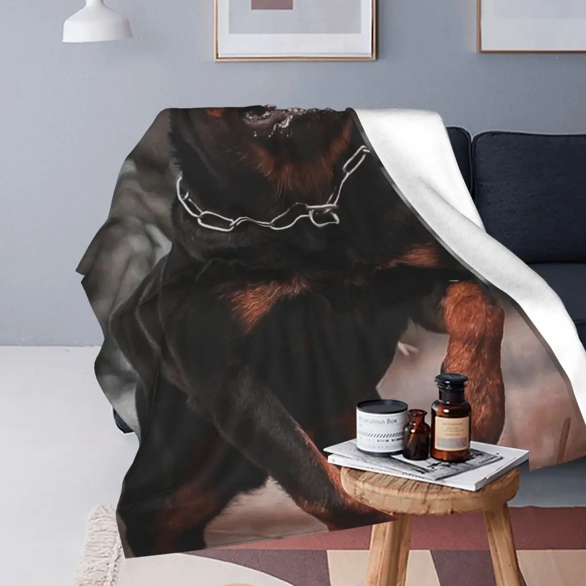 ���� �ָ� �� �ö��� ���, �ֿ� ���� ������ �ε巯�� ħ�� ������, ���� ���� ���� ħ�� ���� ħ�뺸 ���� ħ�� Ŀ��