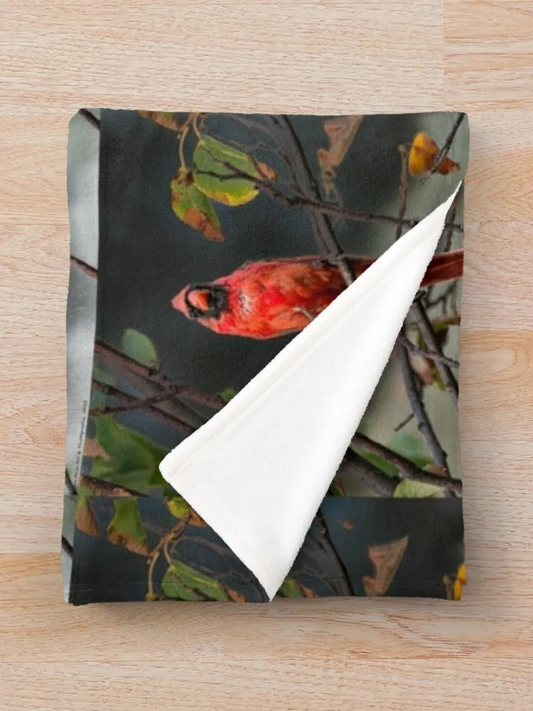 ��Ʈ ���� ���� �߱�� ���, ǳ���ϰ� �β��� ��� �ʴ��� ���