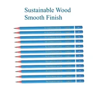 Graphite Professional Drawing Pencils Sketch Pencil 4H/2H/HB/2B/3B/4B/5B/6B/8B/10B Black Lead Pencils for Sketching and Shading 6