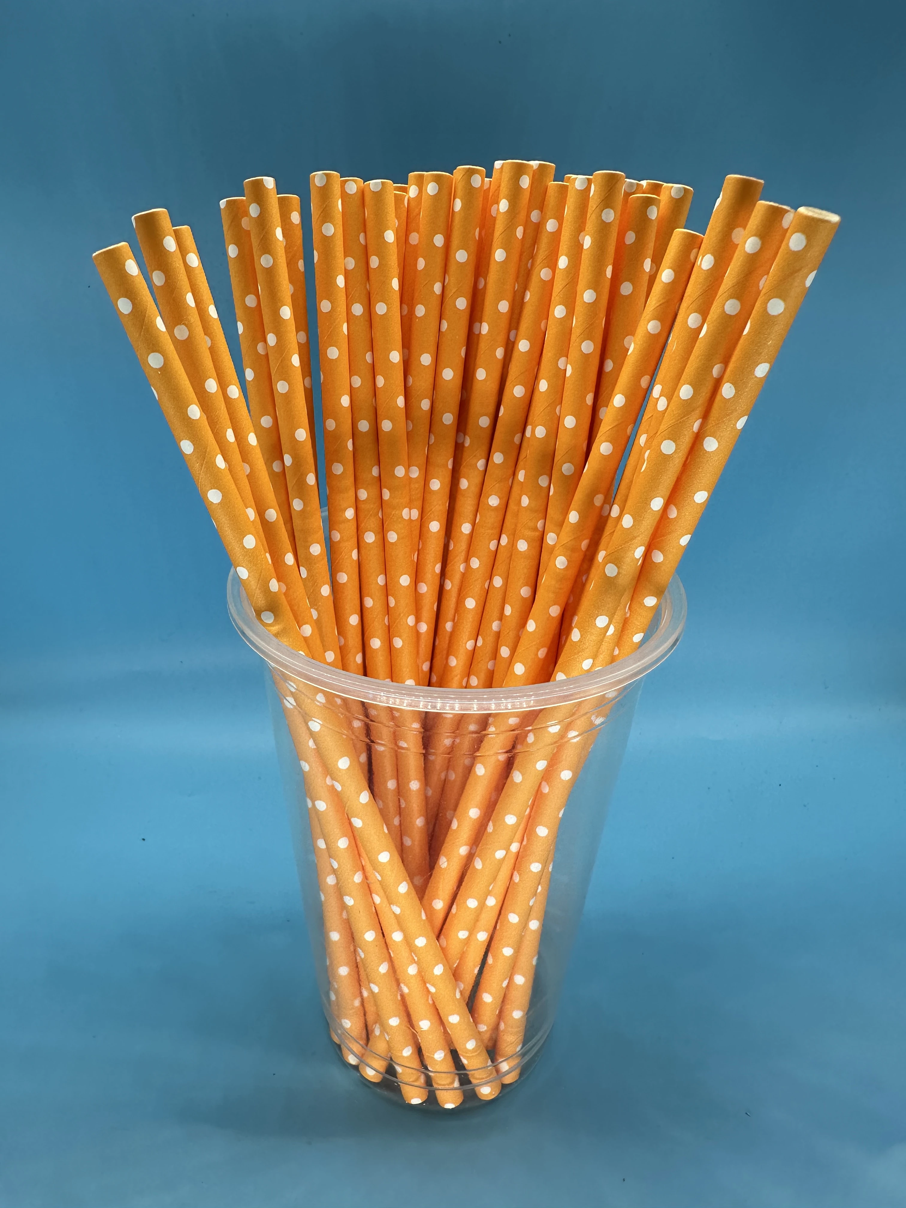 Disposable Biodegradable Straw Which for Canteen Drinking, Bar Artist Straw,Party Decor,Christmas Decor,5000Pcs,Eco Friendly