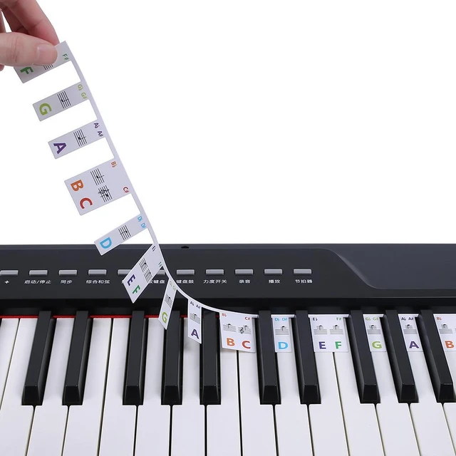 Autocollants de couleur pour clavier de piano pour enfants débutants  Accessoires d'instruments de musique, Style