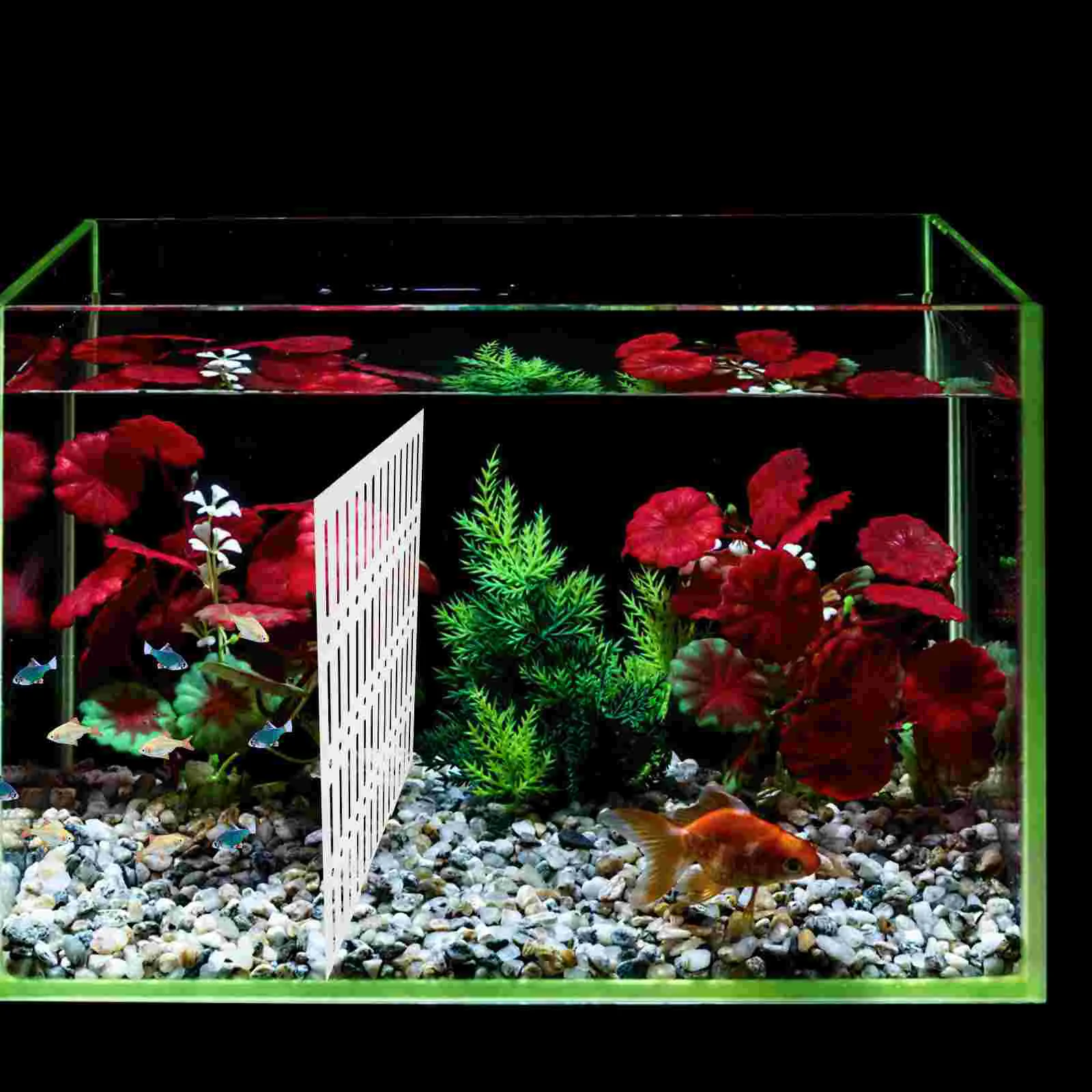 Fish Tank Isolation Plate Aquarium Acrylic Divider Board Breeding Separator Tank Parts Pet Products