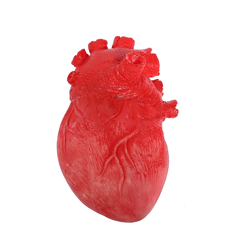 1PC Halloween Horrible Bloody Severed Horror Scary Human Heart Lifesize Scary Fake Rubber Gory Body Part Halloween Dekorationen – Detail 10