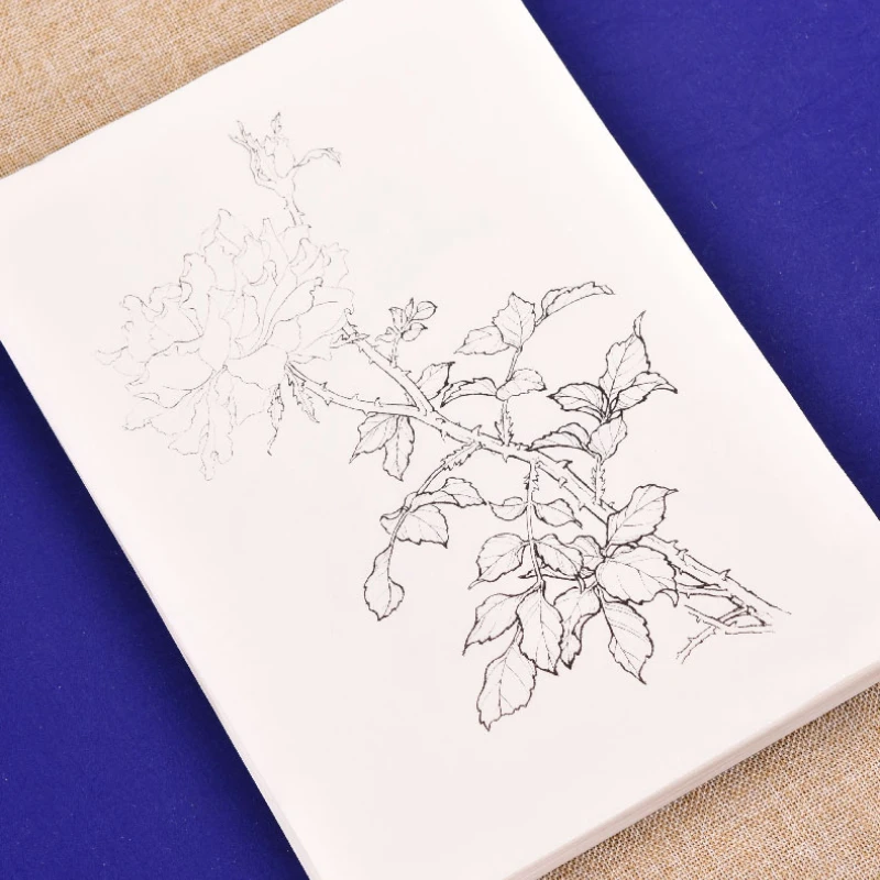 Meticulous Painting Line Drawing Flower Tracing Paper Drawing Manuscripts Coloring Xuan Paper Chinese Watercolor Painting Drafts images - 6