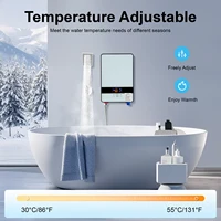 Chauffe-eau instantané mural 6500W, chauffe-eau électrique sans réservoir et douchette à main, ensemble de douche chaude 5