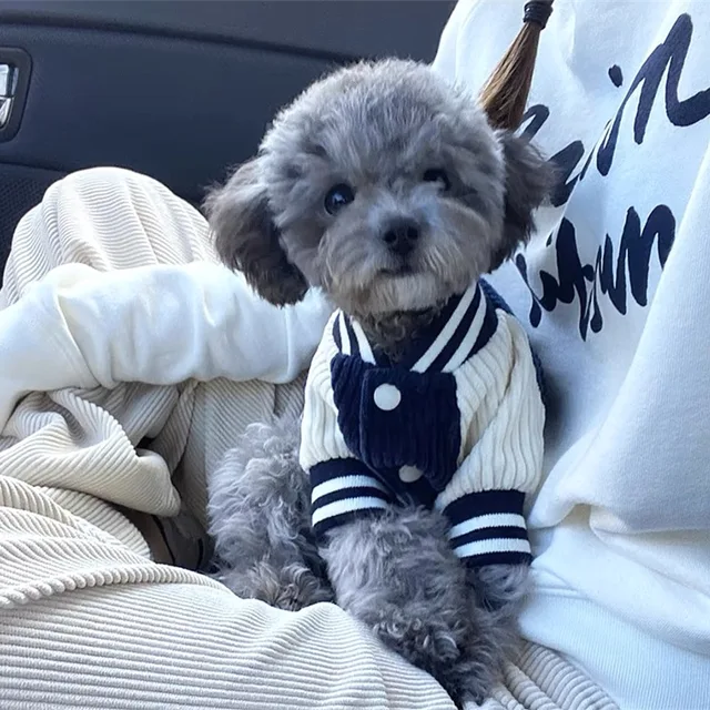 Cute Embroidered Pet Baseball Jackets Dog Clothes For Small Medium Cat Teddy Coat Puppy Spring Clothes Warm Fashion Pet Outfit 3