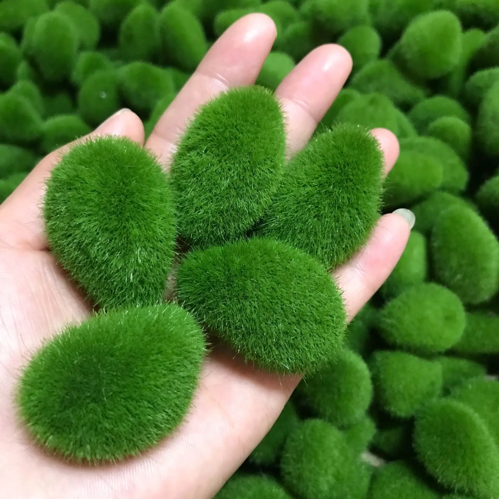 Decorative Moss Rocks 1