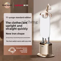 Zz hanging iron household high-power small vertical steam iron ironing clothing store 2