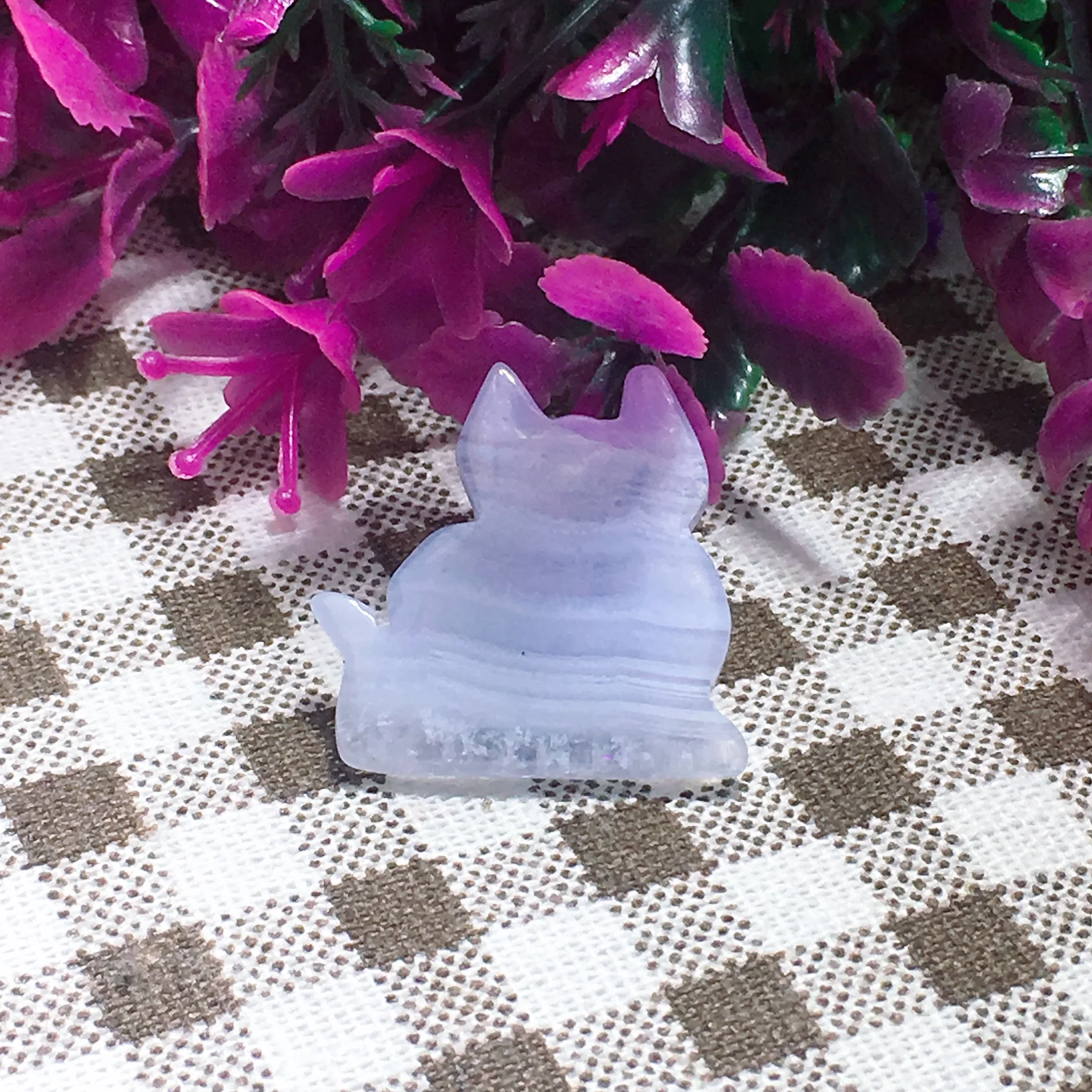 Blue Lace Agate Cat 2550