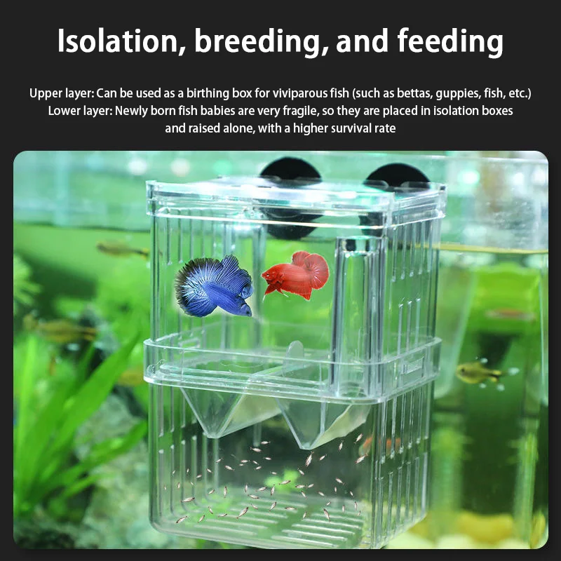 Aquarium Fish Breeder Box Durable Betta Fish Tank Breeding Isolation Box Hatching Incubator For Baby Shrimp