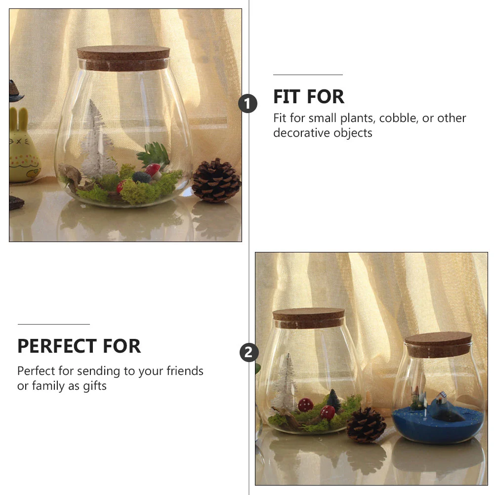 Cork Glass Bottle Plant Small Mason Jars Round Terrarium with Lid Basket Clear Succulent Pot Display Suite Decorate 3