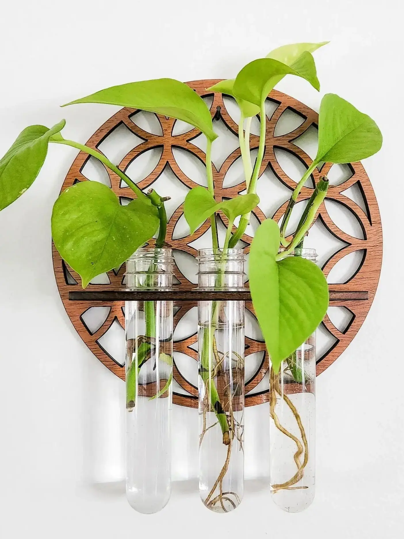 Garden Wall Planters Indoor Wooden Circle Plant Hanger Wall Hanging Flower  Vase Rack with 3 Test Tubes Plant Propagation Station - AliExpress 15