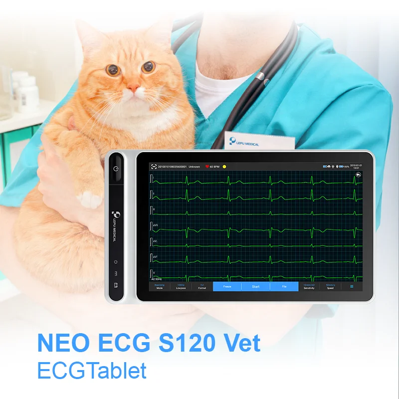 

Lepu Carewell Med Hospital Portable 3 Channel 12 Leads Vet Ecg Machine Animal Veterinary Ekg With Trolley