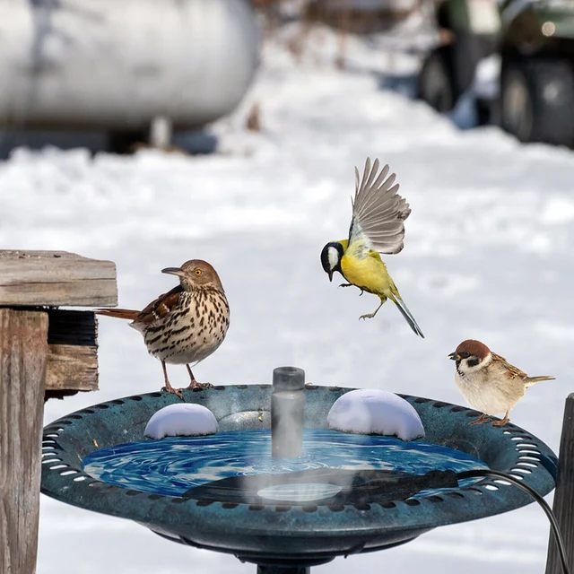 Keep birds warm in winter with our high density heating wires Birdbath Deicer