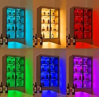 ไฟใต้ตู้ Tuya WIFI DC12V RGB ปรับสีได้ ไฟเพ็กซ์หรี่แสงได้ สำหรับเทศกาล ตู้เสื้อผ้า ห้องนอน ห้องครัว ใช้ได้กับ Alice Alexa และ Google Home 6