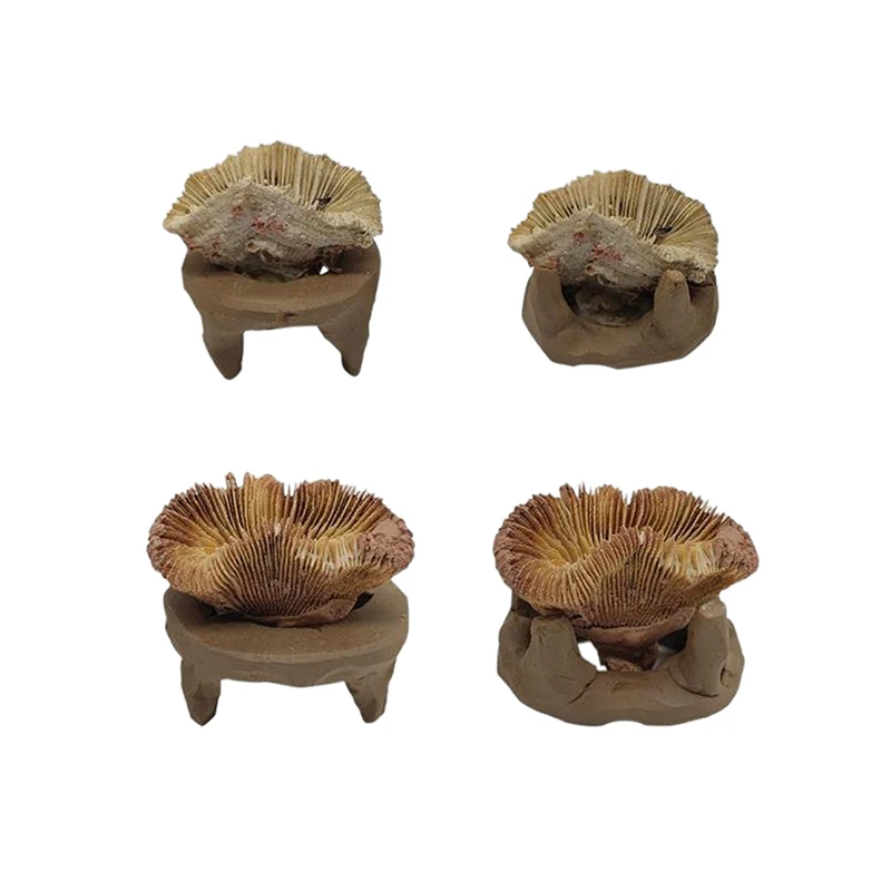 1/5PCS SPS Seawater Coral Frag Plate Base Ceramic Coralline Coral Frag Plugs Base Tray Aquarium Plant DIY Decoration