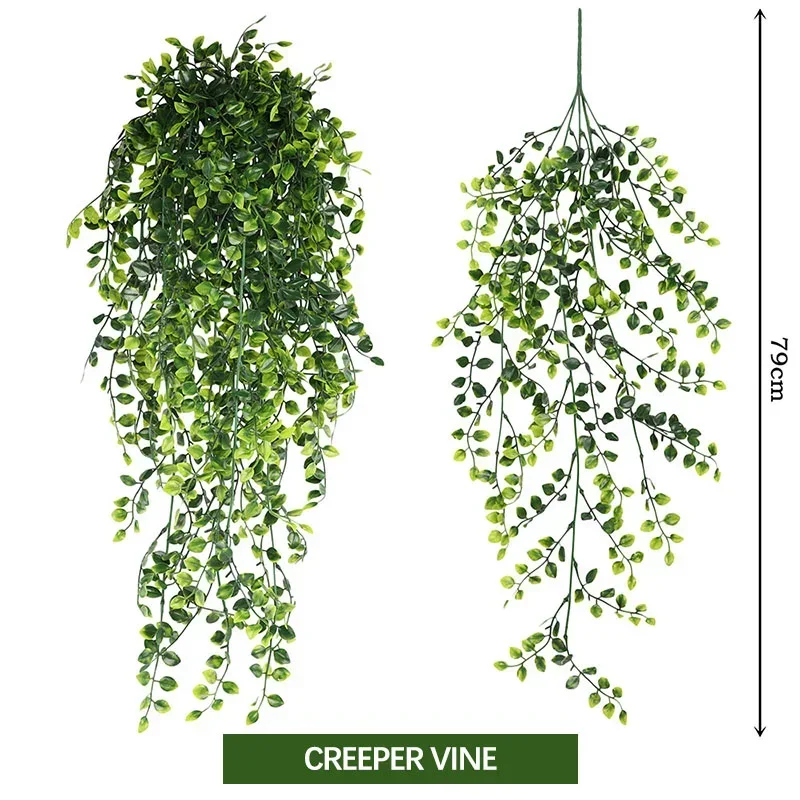creeper vine