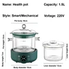 110V/220V Health Pot Split Pot Home Electric Stew Pot Multi-function Porridge Bird's Nest Soup Pot Smart Electric Kettle 1.5L 6
