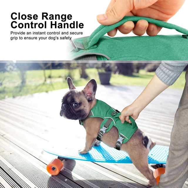 No Pull Harness For Dogs Best Dog Harness With Handle Best No Pull