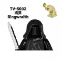TV5002