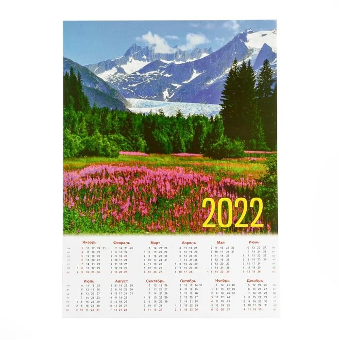 А4 Новые Ролики 2022 Года