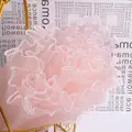 Silver- Champagne