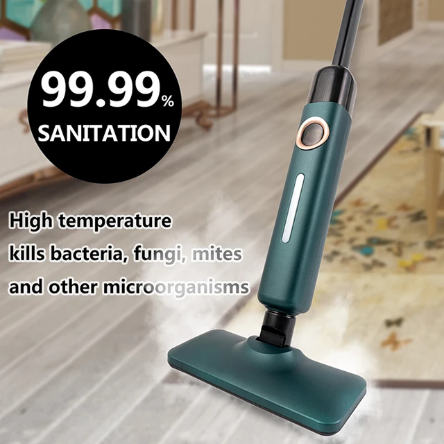 Updated Steam Cleaning Sanitation. - Drive Whip