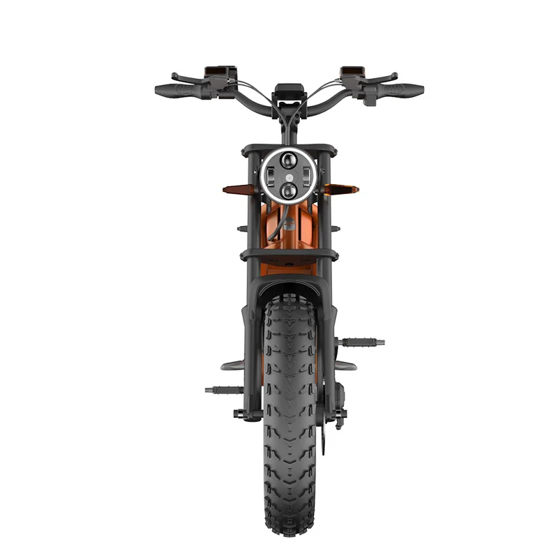 Best Quality Hydraulic Suspension Cheap 20 Inch Electric Bike 1500w 750w Cruiser Mountain Ebike