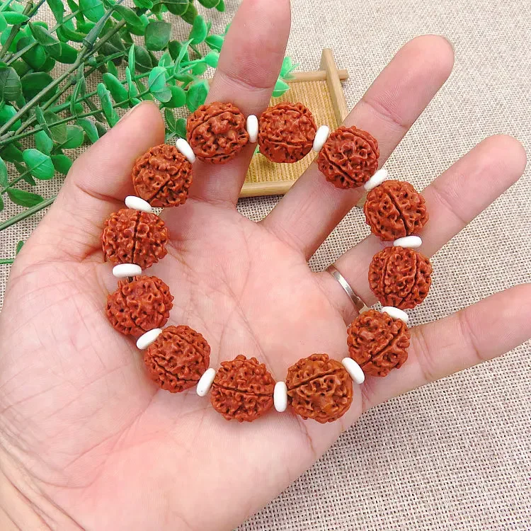 14 Mukhi Indonesian Rudraksha Bracelet (Pure Silver) – Rudra and Sons