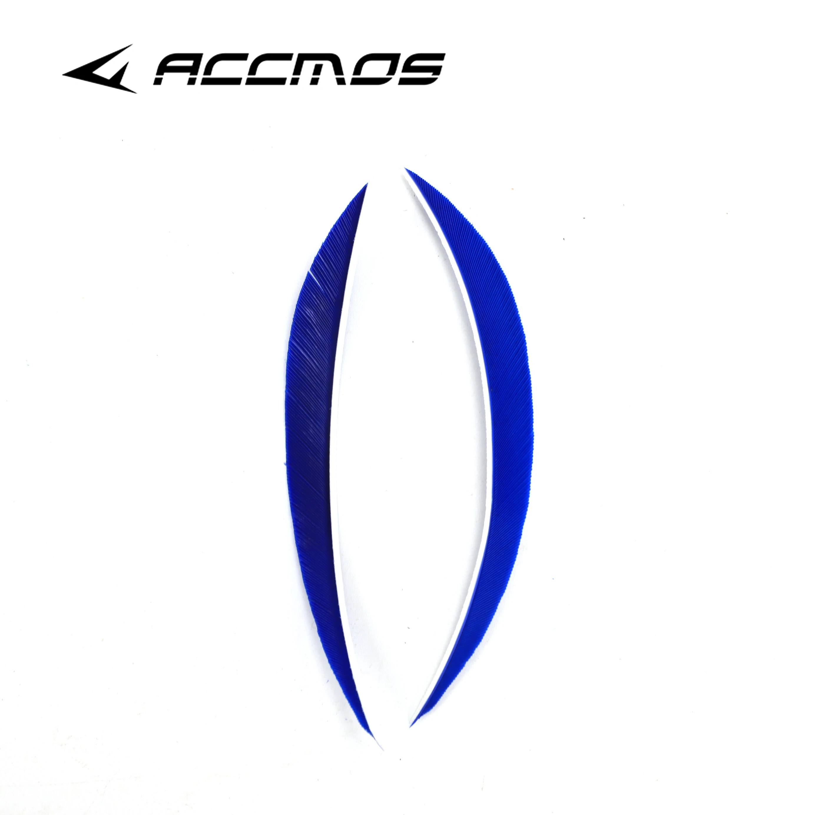 Archery Arrow Feathers 50pcs 5 inch Ultra Narrow Banana Fletching Arrow Feathers Vanes Real Natural feather Turkey Feather Archery Accessories