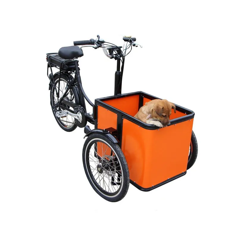 Triciclo Per Adulti Mini Electric Mobile Cargo Bike Carrello Della Spesa Trike Che Trasporta Bambini Bambini Animali Domestici Cane Bakfiets Personali