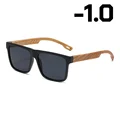 Myopia-1.0