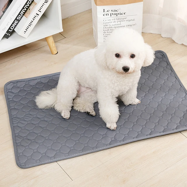 Dog Urine Pads Washable Reusable Anti Slip Pet Pee Pad Puppy Training Pad Pet Bed Urine Mat for Car Seat Cover Pet Supplies 5