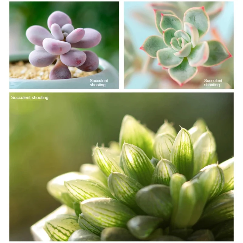 Phone Camera Lens 30-120mm Macro Lens Long Distance 4K HD Mobile Phones Accessories Lens+CPL+Star Filter for iPhone X Smartphone