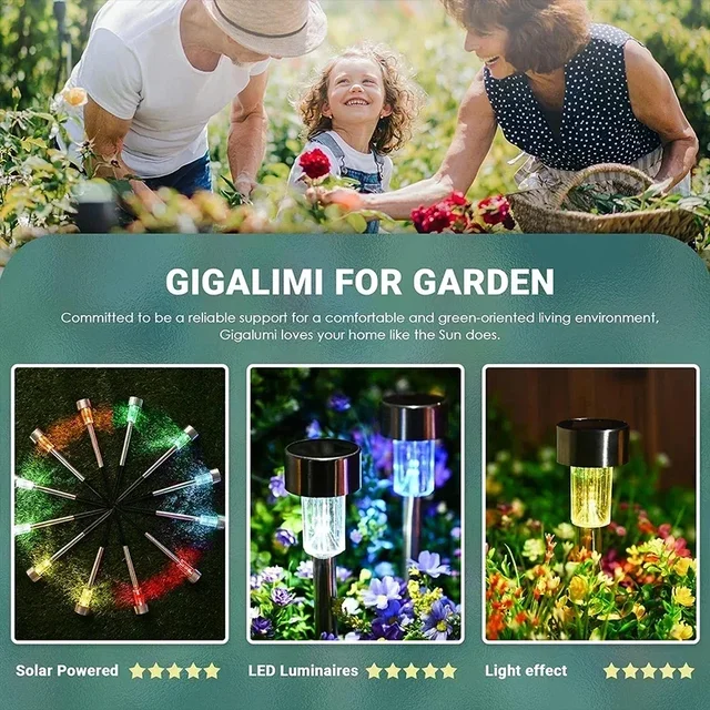 Solar Outdoor Lights Garden Lamp Solar Powered Waterproof Landscape Path Outdoor for Yard Backyard Lawn Patio Decorative Plant 4
