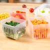 Refrigerator Preservation Box Transparent Double-layer Sealed Box Vegetable Fruit Spring Onion Ginger Garlic Food Grade Drain 6