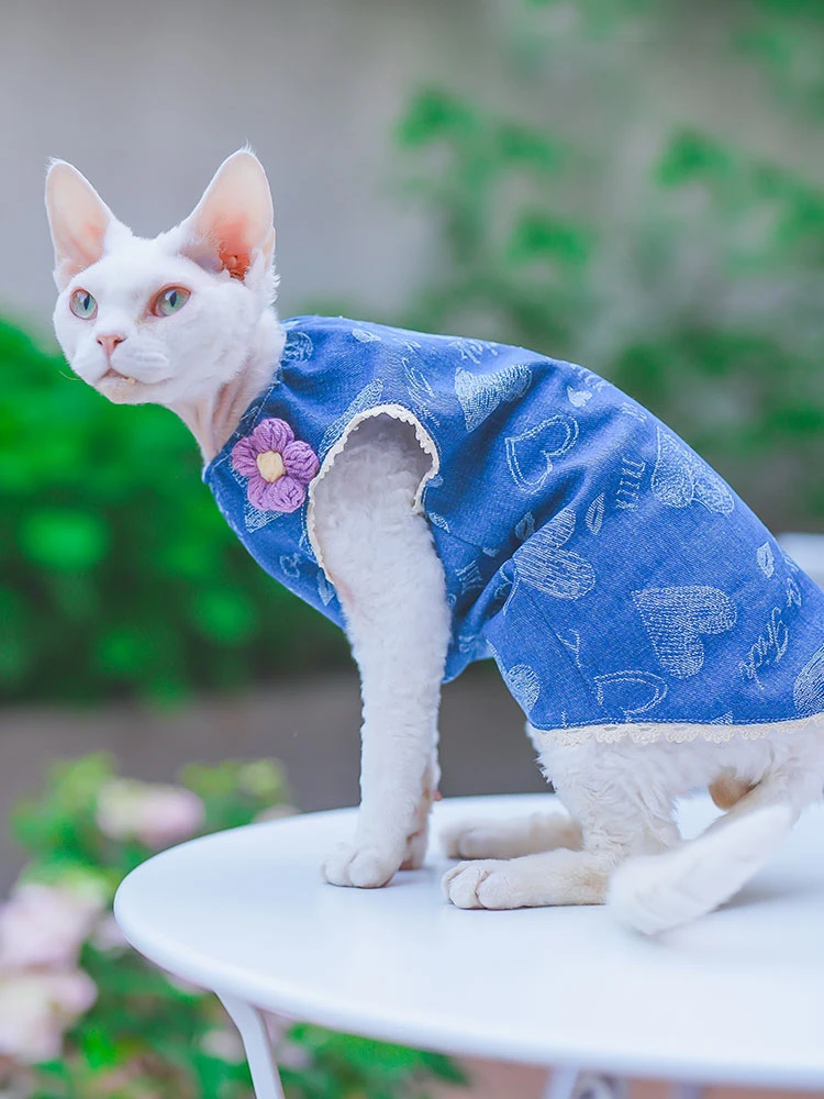 클래식 푸른 꽃 털 없는 고양이 치마, 애완 동물 용품, 스핑크스 고양이 빈티지..